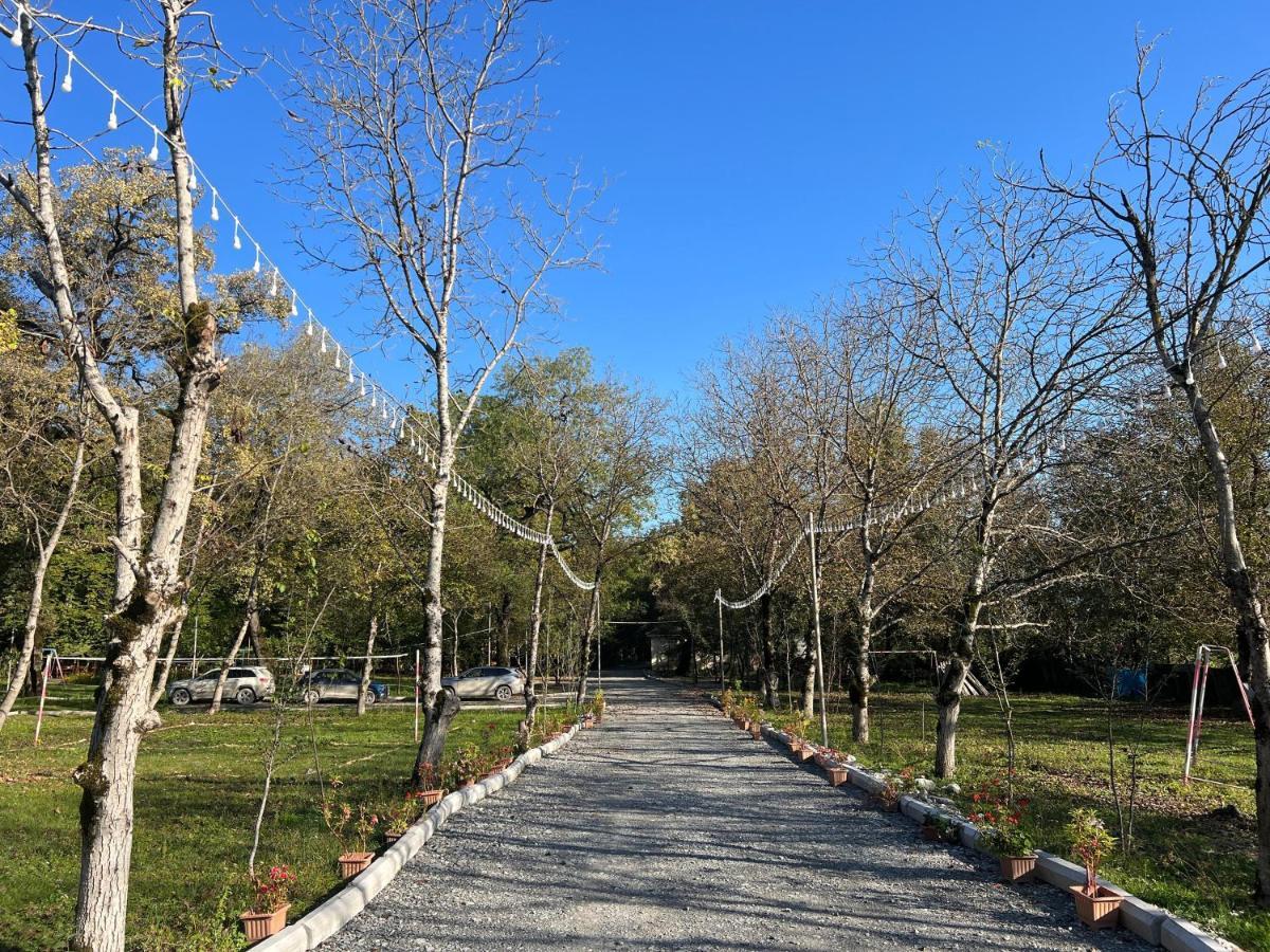 Topchu Forest Ismayilli Topcu Ngoại thất bức ảnh
